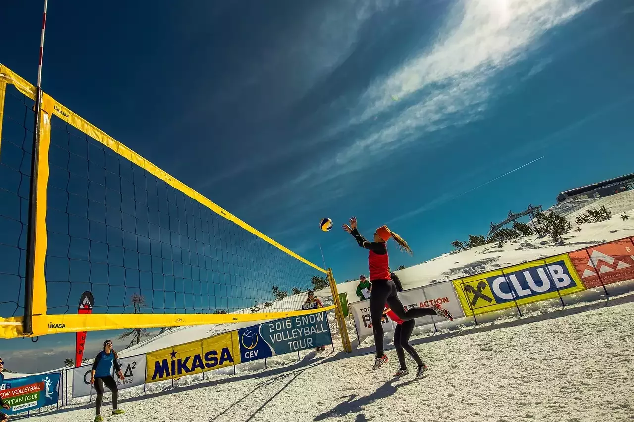 A Look at the Different Types of Volleyballs
